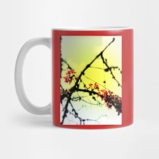 red Malus Radiant crab apple blossoms #7, yellow tint Mug